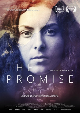 Movie poster for The Promise (2025)
