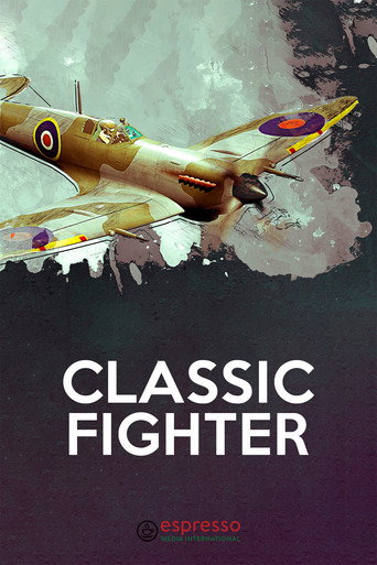 Movie poster for Classic Fighter
