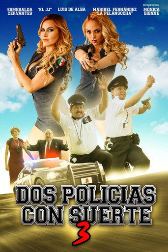 Dos policías con suerte 3 poster