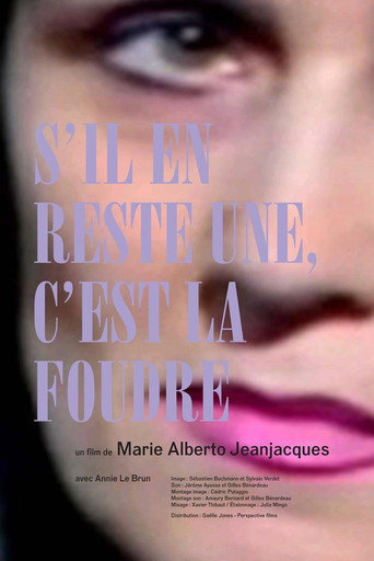 Movie poster for S'il en reste une, c'est la foudre (2016)
