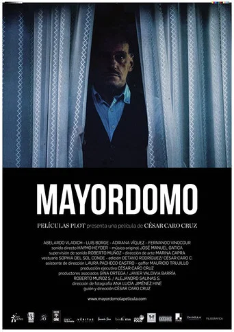 Movie poster for Mayordomo (2017)