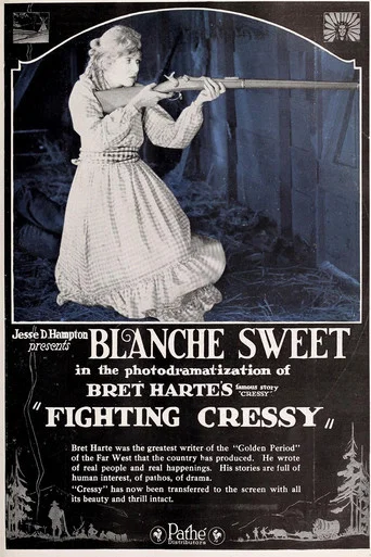 Movie poster for Fighting Cressy (1919)