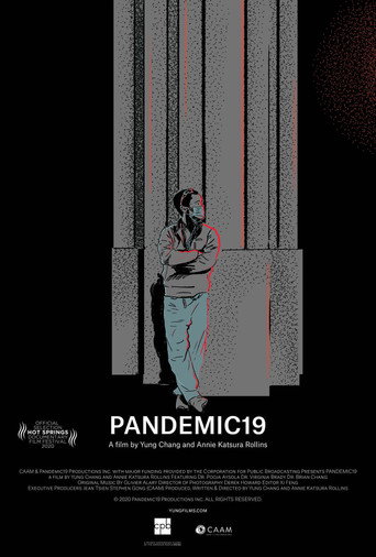 Movie poster for Pandemic19 (2020)