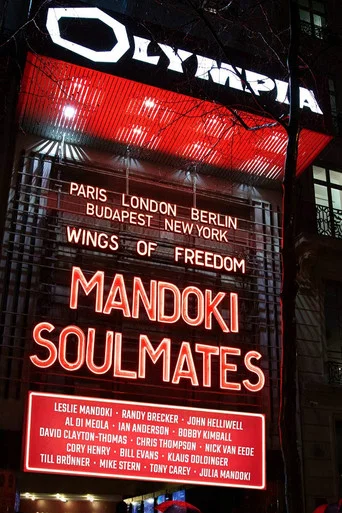 Movie poster for ManDoki Soulmates: Wings Of Freedom (2019)