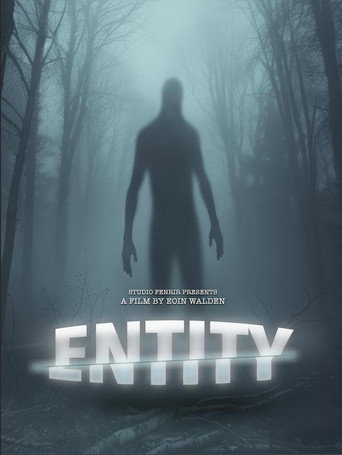 Movie poster for Entity (2025)