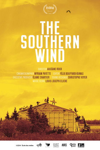 Movie poster for The Southern Wind (2021)