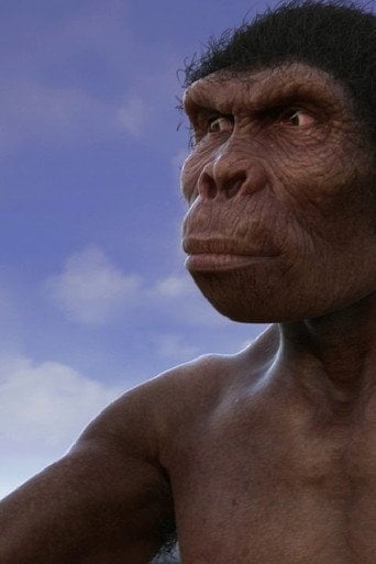 Movie poster for Evolution from ape to man (2017)