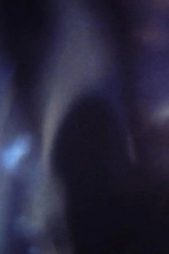 Movie poster for Flexcam (1998)