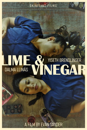 Movie poster for Lime & Vinegar (2024)