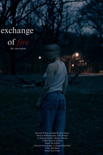 Movie poster for Exchange of Fire (2025)
