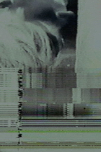 Movie poster for Static Discharge for Bleeding Eyes (2001)
