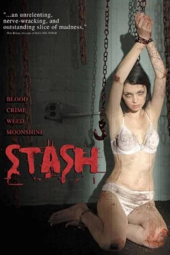 Movie poster for Stash (2007)