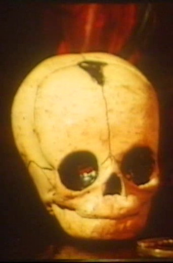 Movie poster for Moonchild (1984)