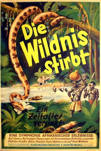 Movie poster for Die Wildnis stirbt! (1936)
