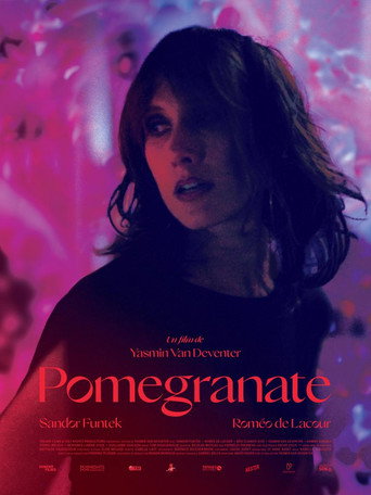 Movie poster for Pomegranate