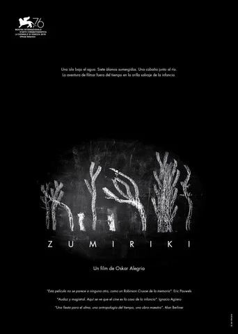 Movie poster for Zumiriki (2019)