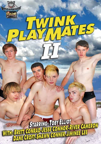 Movie poster for Twink Playmates 2 (2007)