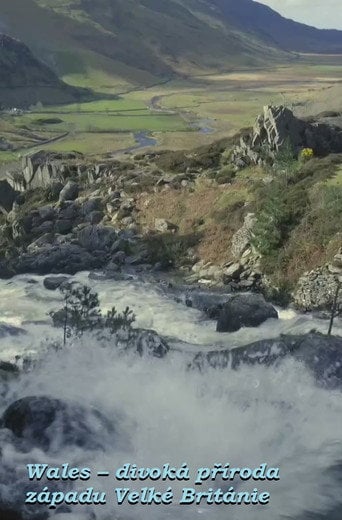 Movie poster for Wales: Great Britain's Wild West (2018)