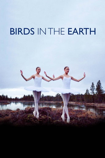 Movie poster for Birds in the Earth (2018)