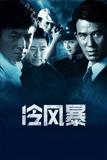 冷风暴 poster