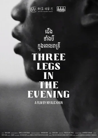 Movie poster for Three Legs in the Evening (2024)