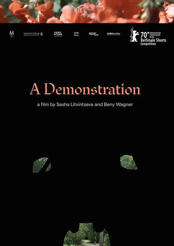Movie poster for A Demonstration (2020)