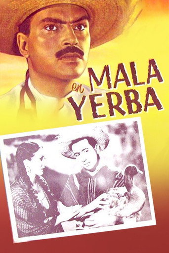 Movie poster for Mala yerba (1940)