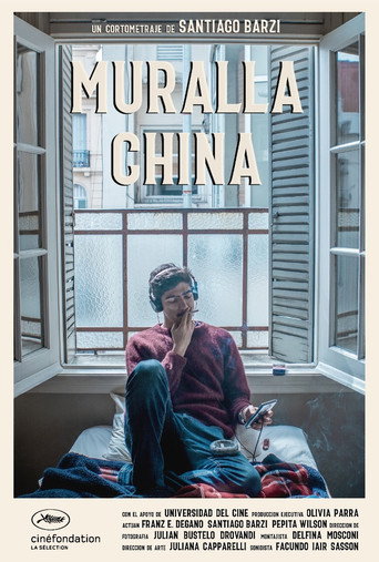 Movie poster for Chinese Wall (2020)