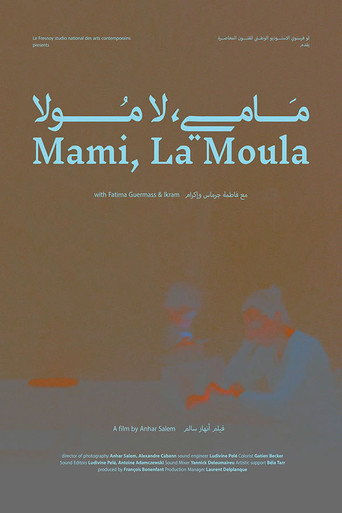 Movie poster for Mami, La Moula (2020)