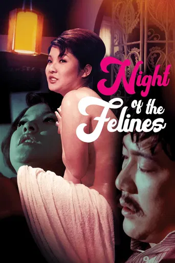 Night of the Felines poster