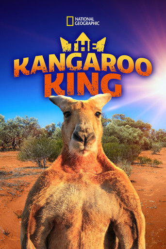 The Kangaroo King poster