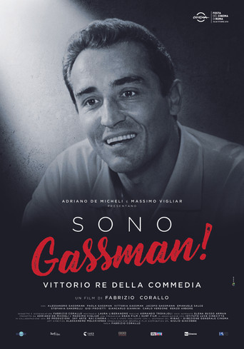 Sono Gassman! - Vittorio re della commedia poster