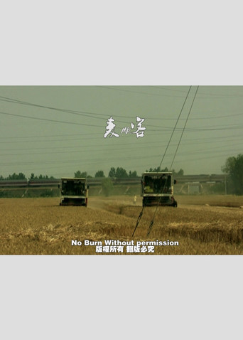 Movie poster for Wheat Passenger (2011)