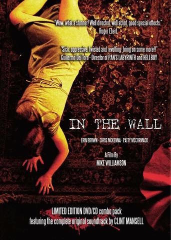 In the Wall poster