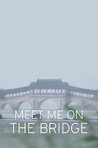 Movie poster for Meet Me On The Bridge (2017)