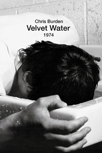 Movie poster for Velvet Water (1974)