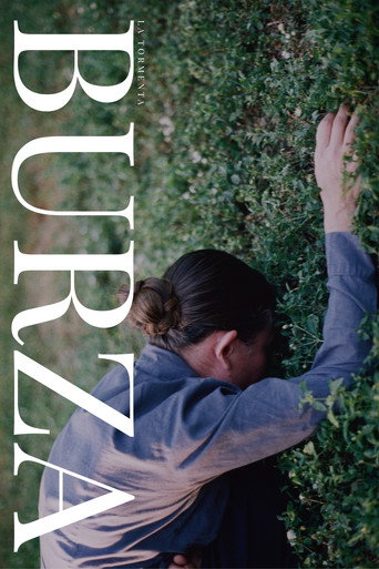 Movie poster for Burza