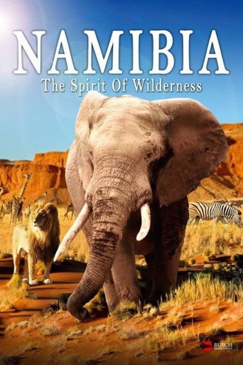 Movie poster for Namibia: The Spirit of Wilderness (2016)