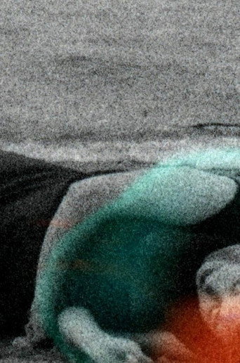 Movie poster for Le silence a disparu (2020)