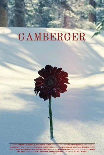 Movie poster for Gamberger (2017)