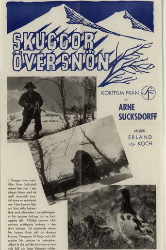 Movie poster for Shadows on the Snow (1946)