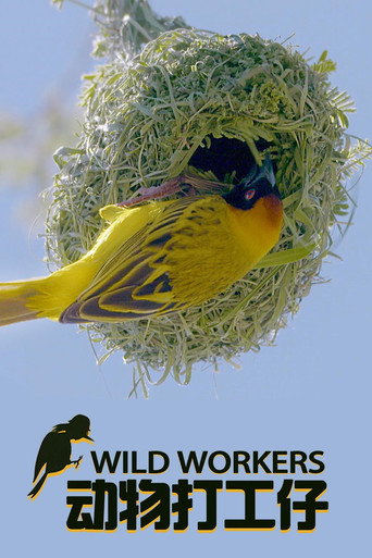 Wild Workers poster