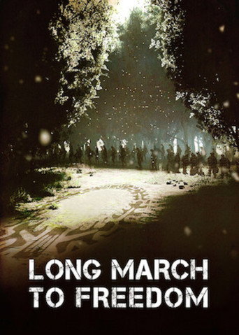 Movie poster for Long March to Freedom (2011)