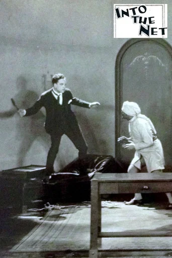 Movie poster for Into the Net (1924)
