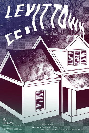 Movie poster for Levittown (2018)
