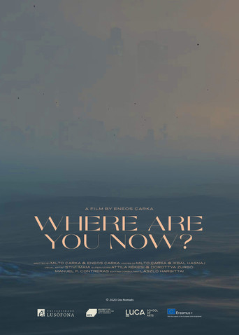 Movie poster for Where Are You Now? (2020)