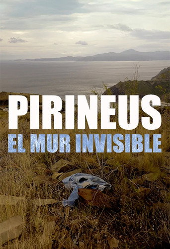 Movie poster for Pirineus, el mur invisible (2025)