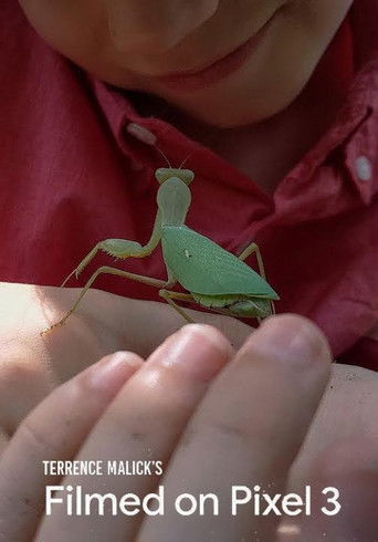 Filmed on Pixel 3 poster