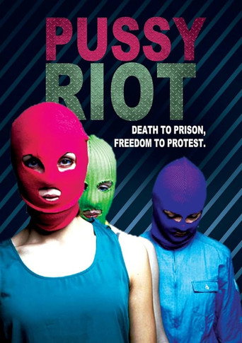 Movie poster for Death to Prison, Freedom to Protest (2014)