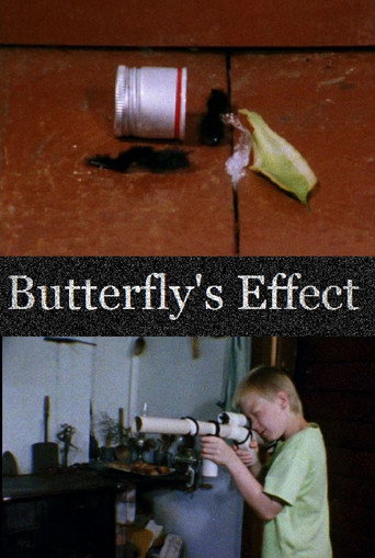 Movie poster for Butterfly's Effect (2013)